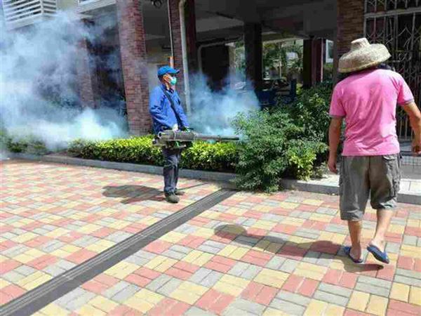 专业蚊虫苍蝇治理|家庭商铺快速消杀 长效防虫不留隐患