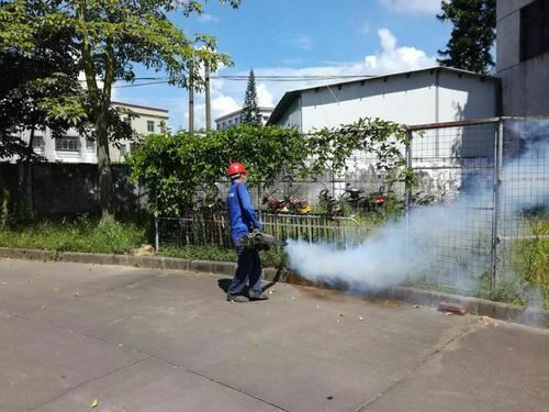 深圳家庭蟑螂防治消杀全指南:从根源灭蟑到长效预防方案